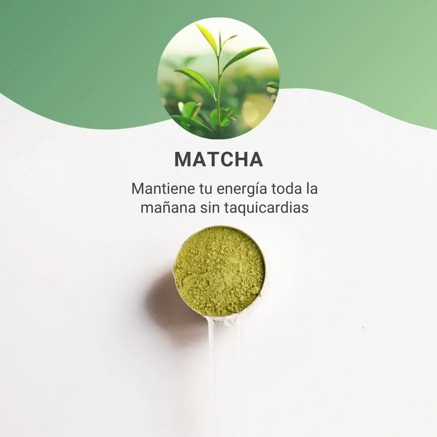MATCHA ORGÁNICO CEREMONIAL - Image 3