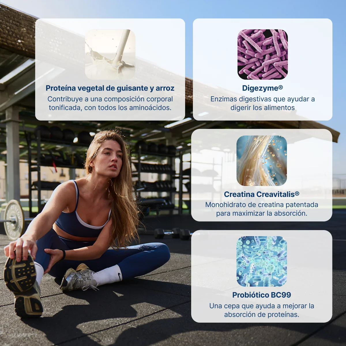 PACK PLANT PRO - Image 6