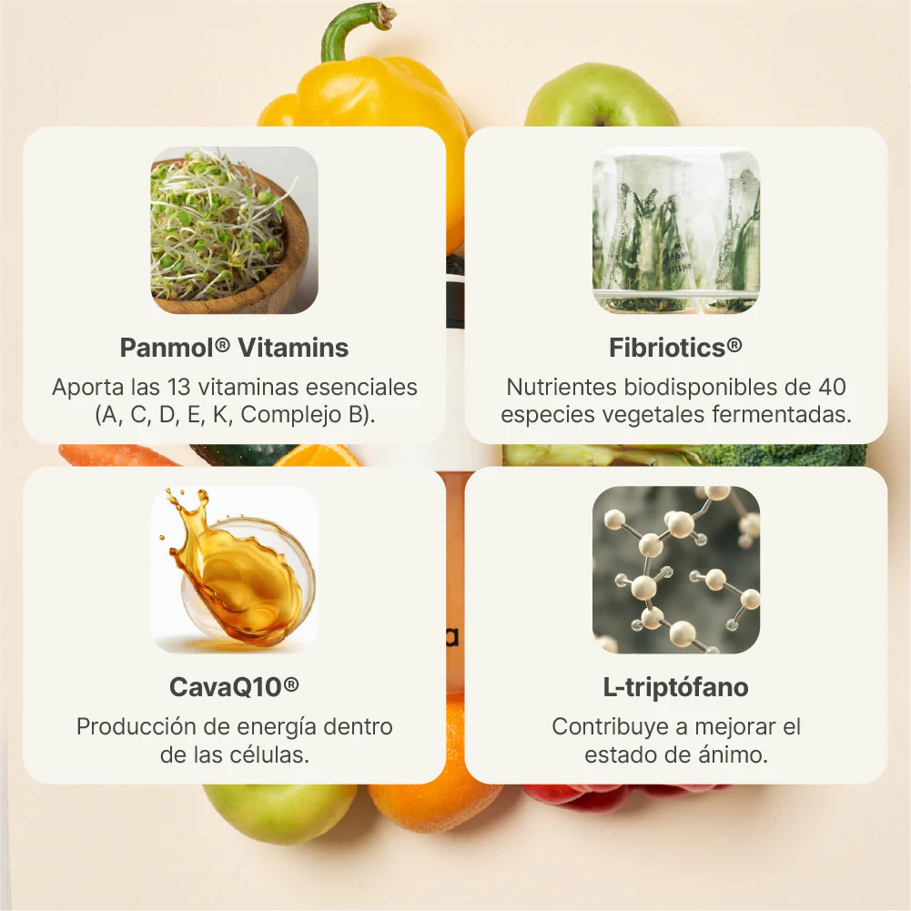 WELL & HEALTHY - Image 6